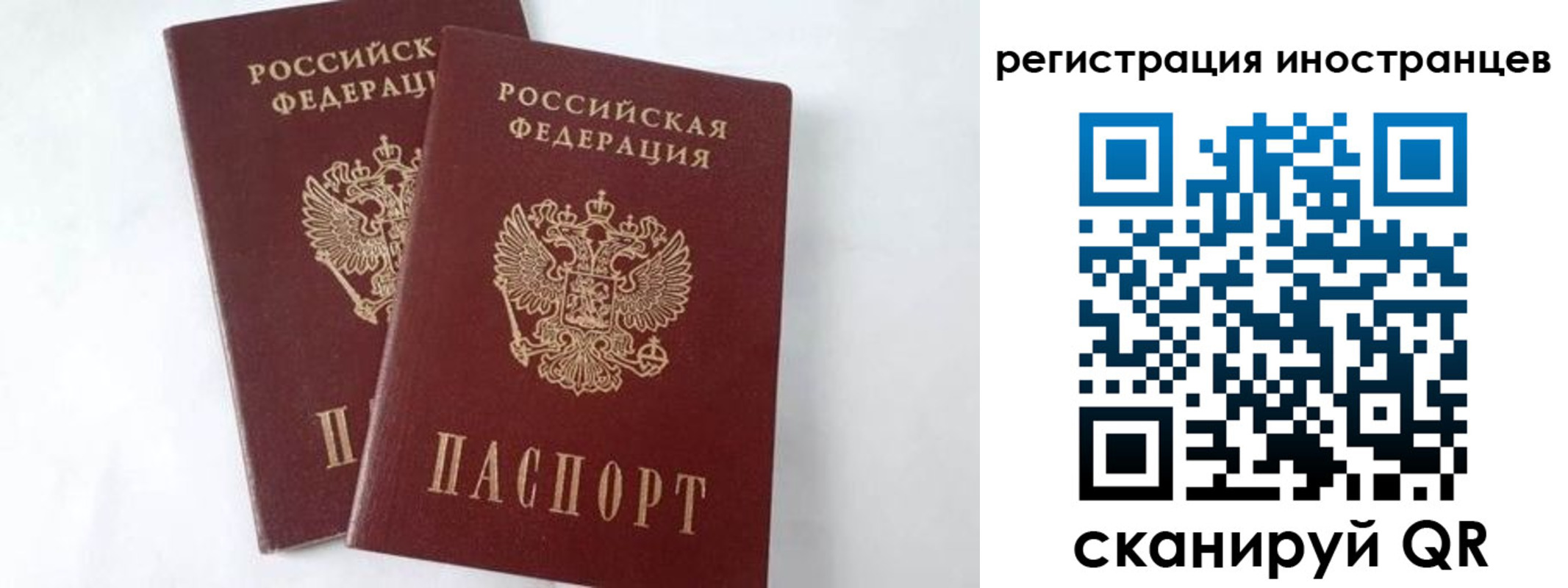 регистрация для школы в Лесном